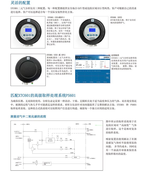 XTC601 纯度分析仪