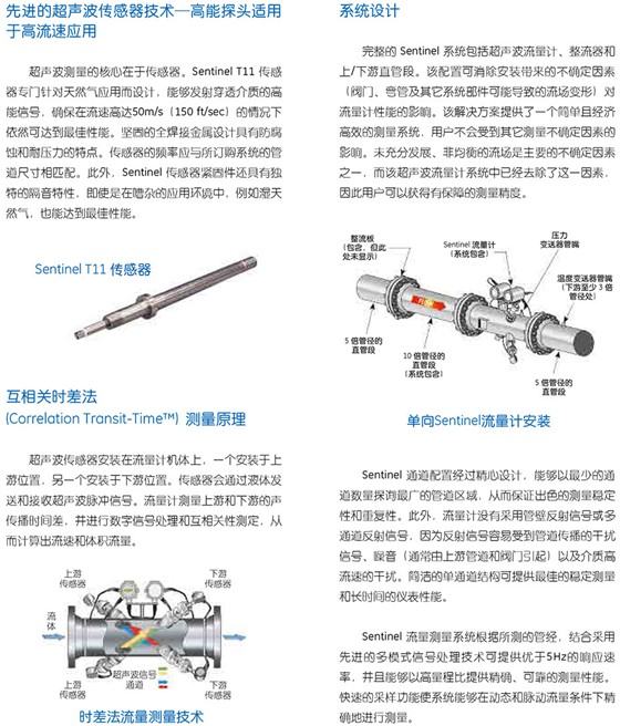 SentinelTM 计量级天然气超声波流量计