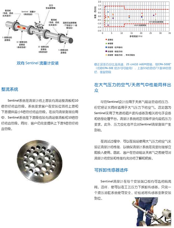 SentinelTM 计量级天然气超声波流量计