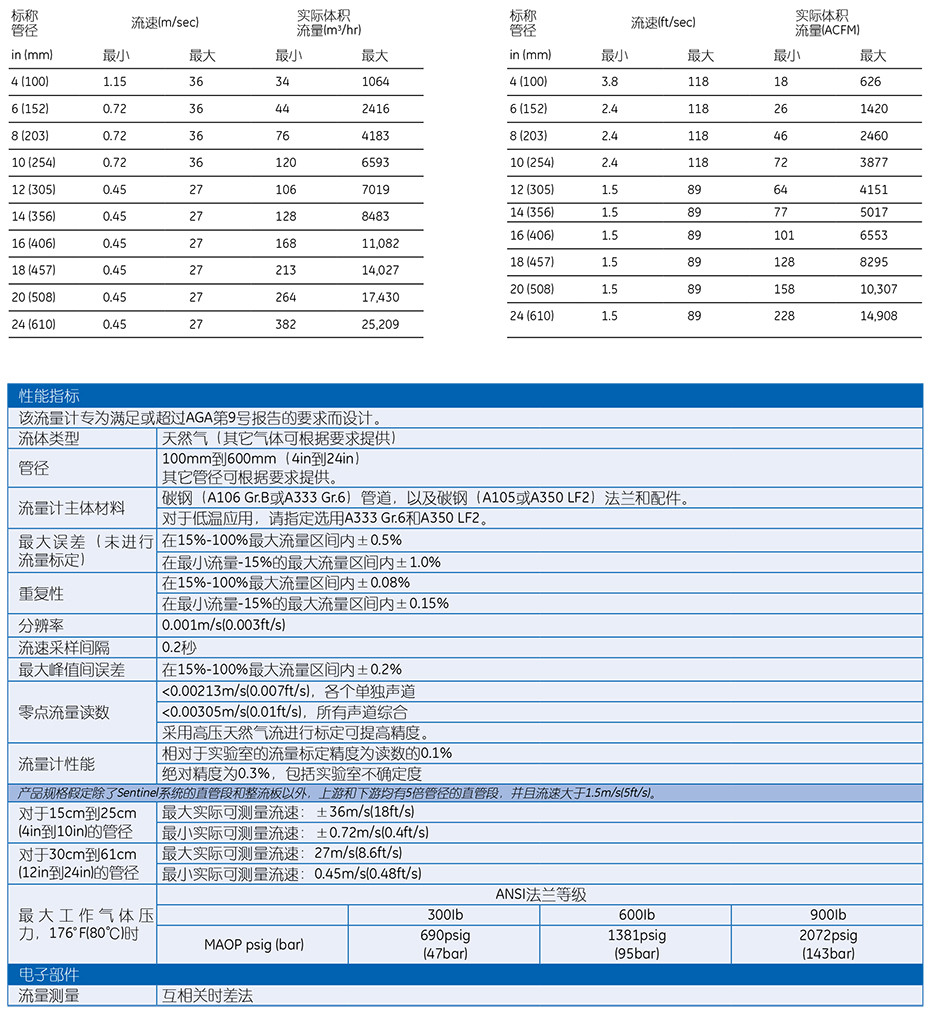 SentinelTM 计量级天然气超声波流量计